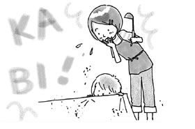 フローリングにカーペットを敷いていたら、その部分にカビが生えてしまいました。修復できるでしょうか。